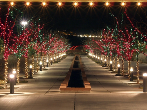 A beautifully lit pathway lined with trees adorned in red and green lights, creating a festive nighttime atmosphere.