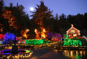 A beautifully lit garden at night, featuring colorful lights, a fountain, and a cozy house under a full moon.
