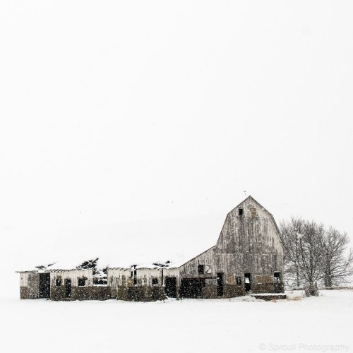 A weathered barn stands in a snowy landscape, surrounded by a white, overcast sky.
