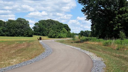 A winding path through a grassy field, bordered by trees and under a blue sky with fluffy clouds.