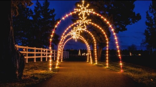 A pathway illuminated by colorful lights forming arches, surrounded by trees at night.