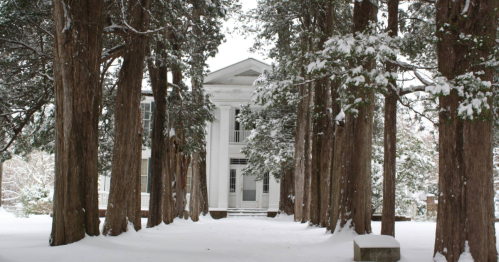 A snow-covered path lined with tall trees leads to a white, classical-style building in winter.