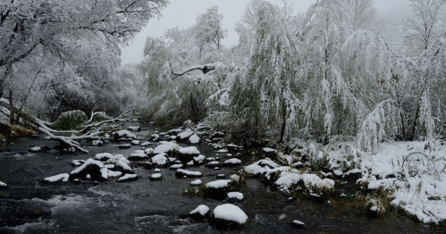 A snowy landscape with a river, covered rocks, and trees draped in white snow, creating a serene winter scene.