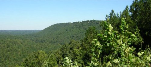 Lush green hills under a clear blue sky, with trees and foliage in the foreground.