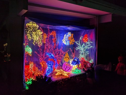 A colorful display of holiday lights shaped like underwater plants and sea creatures in a window.