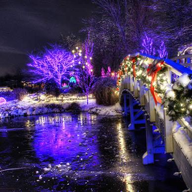 A snowy bridge adorned with festive lights and decorations, reflecting on a frozen pond under a night sky.