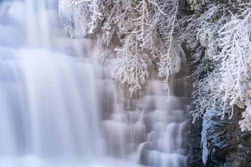 A serene waterfall surrounded by frosty branches, creating a tranquil winter scene.