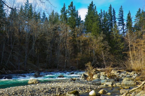 A serene river flows through a rocky landscape, surrounded by tall evergreen trees and a clear blue sky.