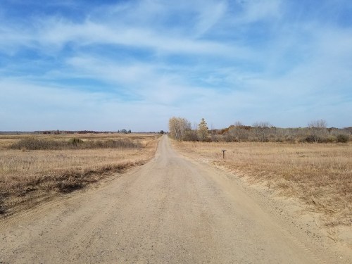A dirt road stretches through a grassy landscape under a blue sky with scattered clouds. Trees line the horizon.