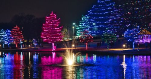 Kansas Christmas Trees