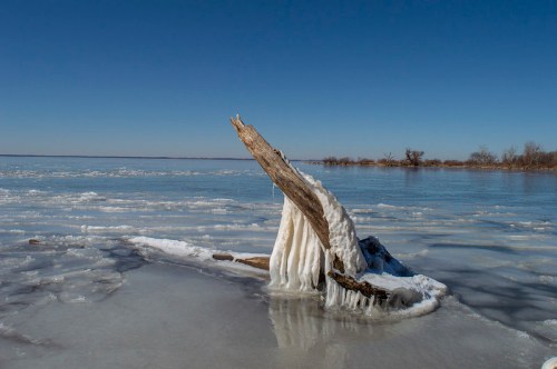 A frozen lake scene featuring a wooden log covered in ice against a clear blue sky.
