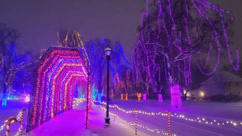 Colorful holiday lights illuminate a snowy pathway, creating a festive atmosphere with trees and decorations.