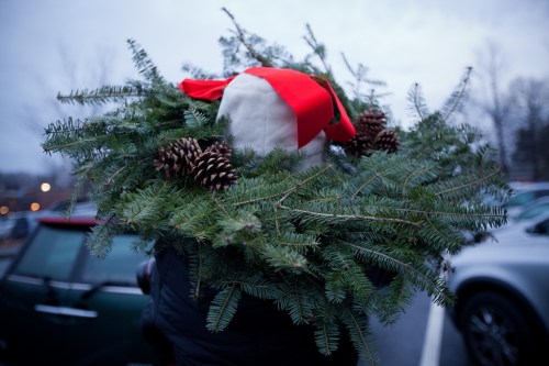 A person wearing a festive red and white hat surrounded by a wreath of pine branches and pinecones.