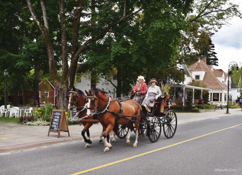 A horse-drawn carriage with two passengers rides down a tree-lined street near quaint buildings and outdoor seating.