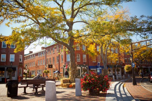 A vibrant town square with a large tree, colorful flowers, and brick buildings under a clear blue sky.