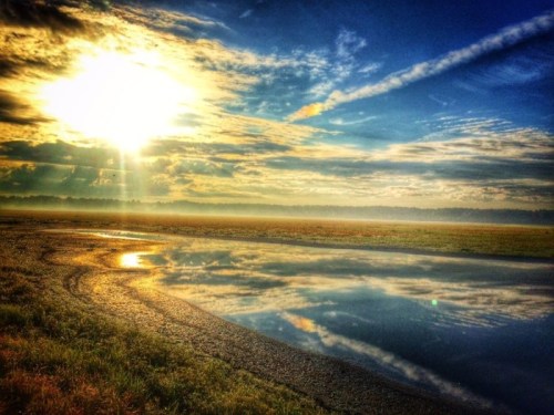 A serene landscape featuring a bright sun, clouds, and a reflective water surface beside a grassy shore.