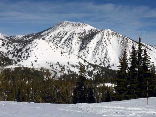 Snow-covered mountains rise against a blue sky, surrounded by evergreen trees and winding roads.