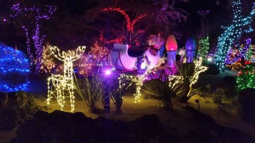 A festive display featuring a sleigh and reindeer made of colorful lights in a garden at night.