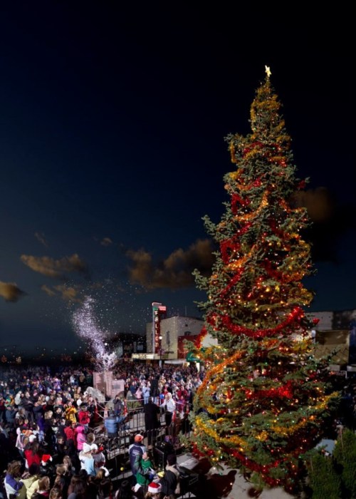 A large Christmas tree adorned with lights stands tall as a crowd gathers below, celebrating the holiday season.