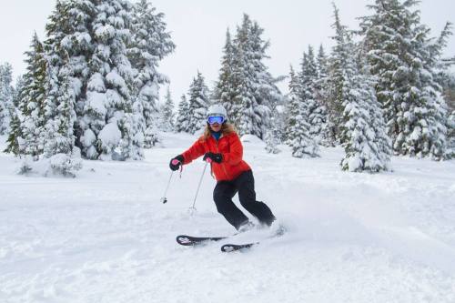 A skier in a red jacket navigates through snowy trees on a winter day.
