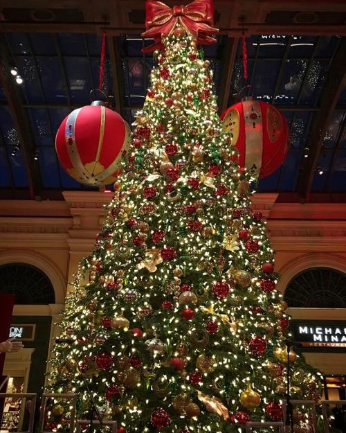 A beautifully decorated Christmas tree adorned with lights, ornaments, and a large bow, surrounded by festive decorations.