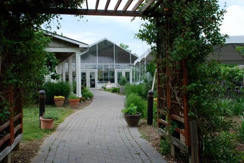 A pathway leads to a glass greenhouse surrounded by greenery and potted plants.