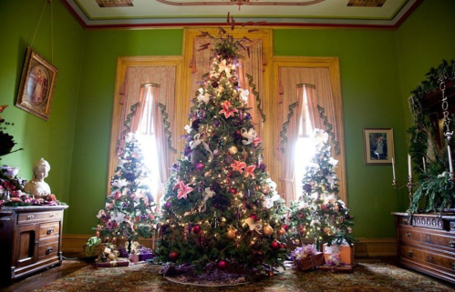 A beautifully decorated Christmas tree surrounded by smaller trees, with festive ornaments and gifts in a cozy room.