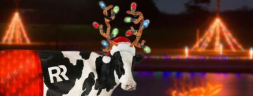 A festive cow wearing a Santa hat and reindeer antlers, with colorful lights, against a holiday light display.