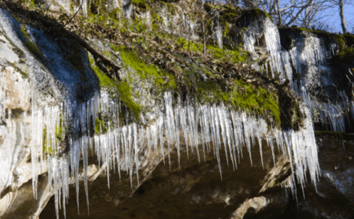 Icicles hanging from a moss-covered rock ledge, surrounded by greenery and sunlight.