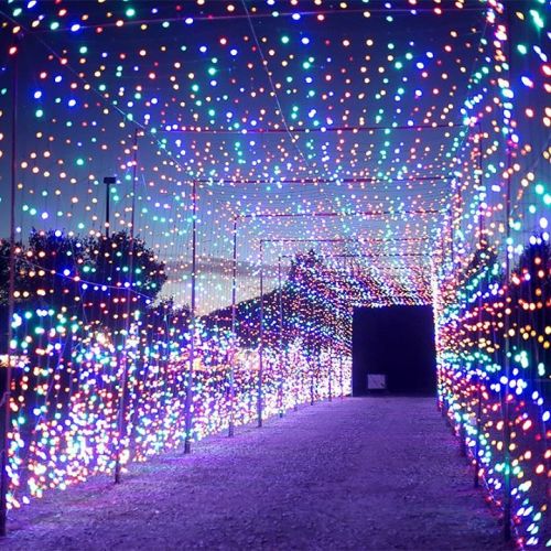 A vibrant pathway illuminated with colorful lights, creating a festive and enchanting atmosphere.