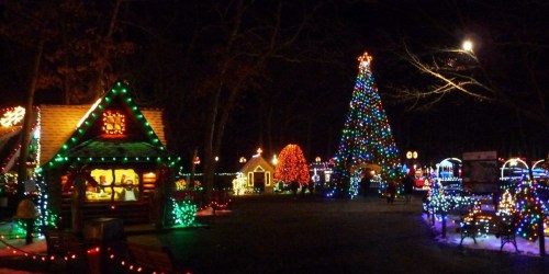 A festive scene at night featuring a large decorated Christmas tree and colorful lights on buildings and pathways.