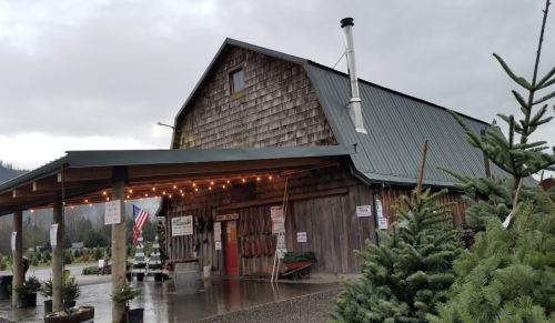 A rustic wooden building with a green metal roof, surrounded by trees and festive lights, under a cloudy sky.