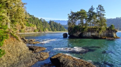 Scenic coastal view with rocky shore, clear blue water, and lush green trees on a small island.