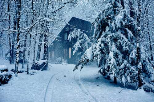 A snow-covered cabin surrounded by trees in a winter forest, with a snowy path leading to it.