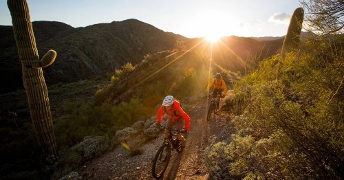 Two mountain bikers ride along a trail in a desert landscape at sunset, with cacti and mountains in the background.