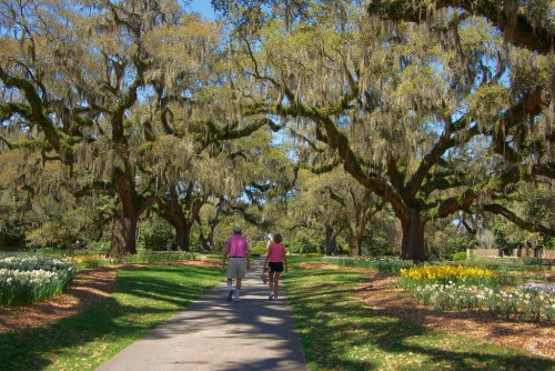Two people walk along a tree-lined path in a lush garden, surrounded by blooming flowers and hanging moss.