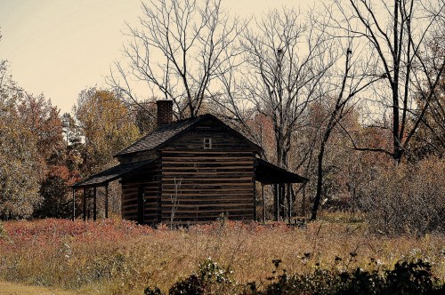 A rustic log cabin surrounded by autumn foliage and bare trees in a serene landscape.
