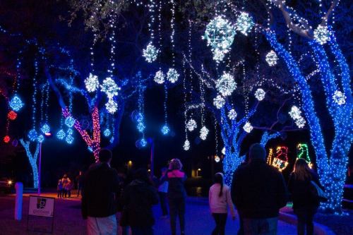A festive display of colorful lights hanging from trees, with people walking through the illuminated scene at night.