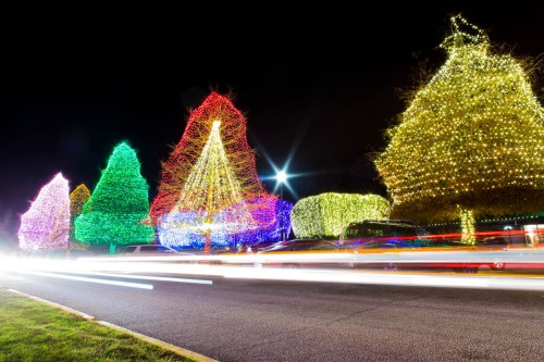 Colorful Christmas trees adorned with bright lights line a road at night, with light trails from passing cars.