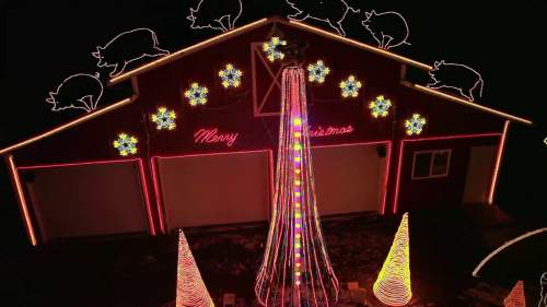 A house decorated with colorful Christmas lights, featuring pig silhouettes and festive snowflakes.