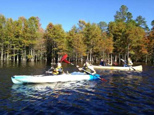 Two kayakers paddle through calm waters surrounded by trees with autumn foliage on a sunny day.