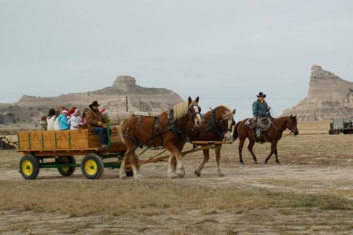A horse-drawn wagon carries passengers across a grassy field, with a cowboy on horseback nearby and rocky hills in the background.