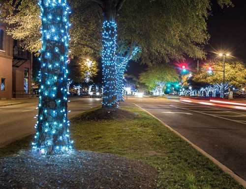 Trees wrapped in blue lights line a street at night, with traffic lights and softly glowing decorations in the background.