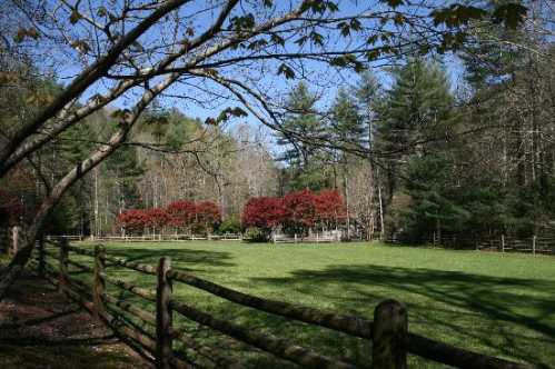 A serene landscape featuring a green field, trees, and vibrant red foliage under a clear blue sky.