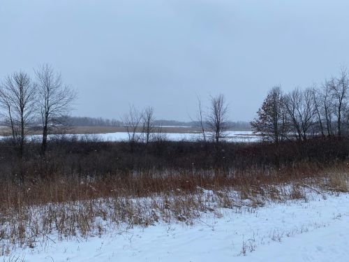A snowy landscape with bare trees and a frozen lake under a gray sky.