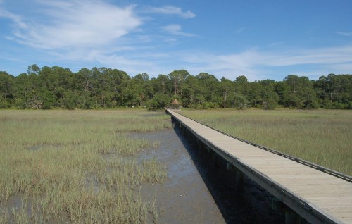 A wooden boardwalk stretches through a grassy marsh, leading to a tree-lined area under a blue sky.