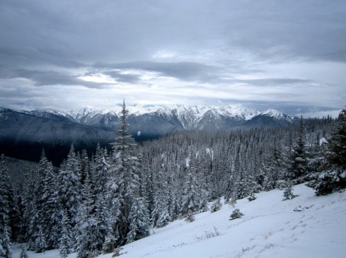 Snow-covered mountains rise in the distance, surrounded by a dense forest of evergreen trees under a cloudy sky.