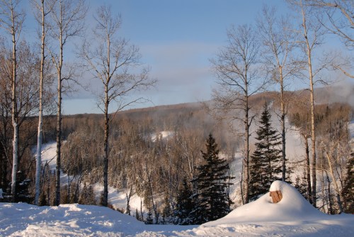 A snowy landscape with bare trees and a misty valley in the background, under a clear blue sky.