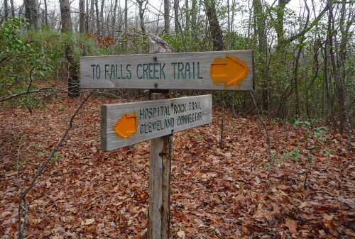 Wooden trail signs point towards Falls Creek Trail and Hospital Rock Trail in a wooded area with fallen leaves.