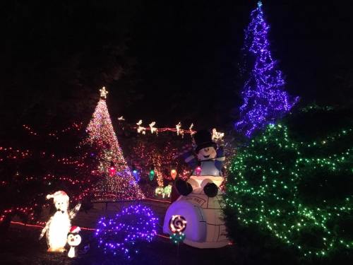 Colorful holiday lights illuminate a festive scene with decorated trees, a snowman, and cheerful decorations at night.